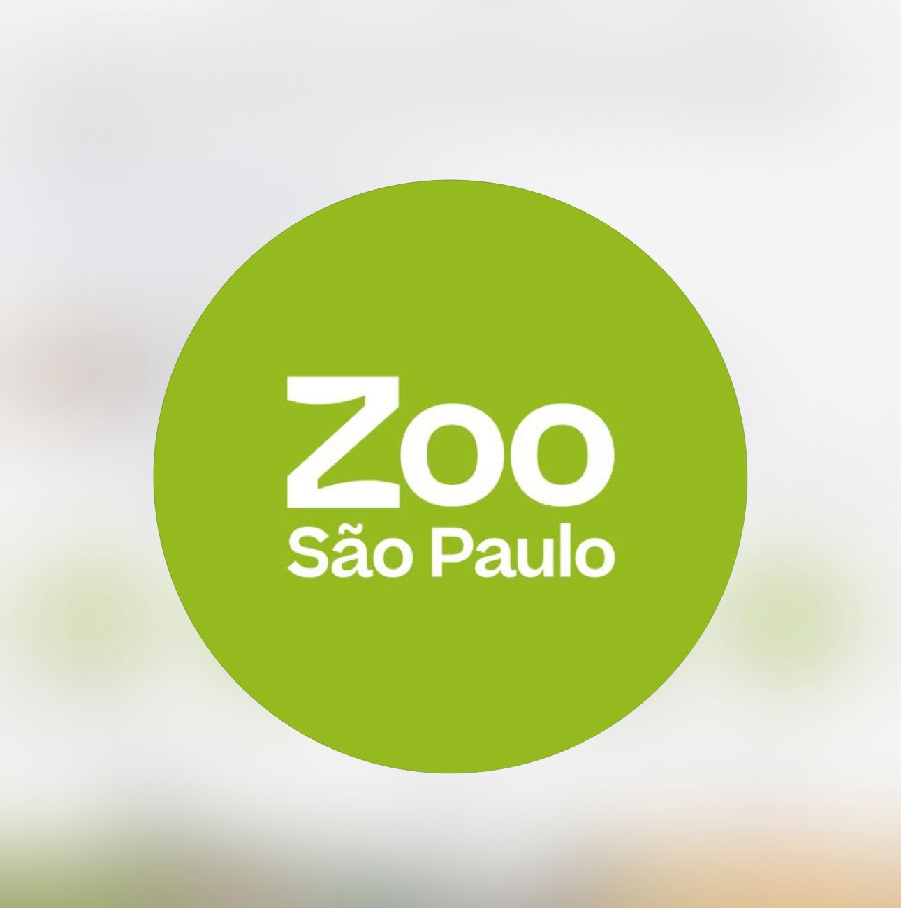 Imagem do WhatsApp de 2025-11-24 à(s) 17.14.39_9f7ac882