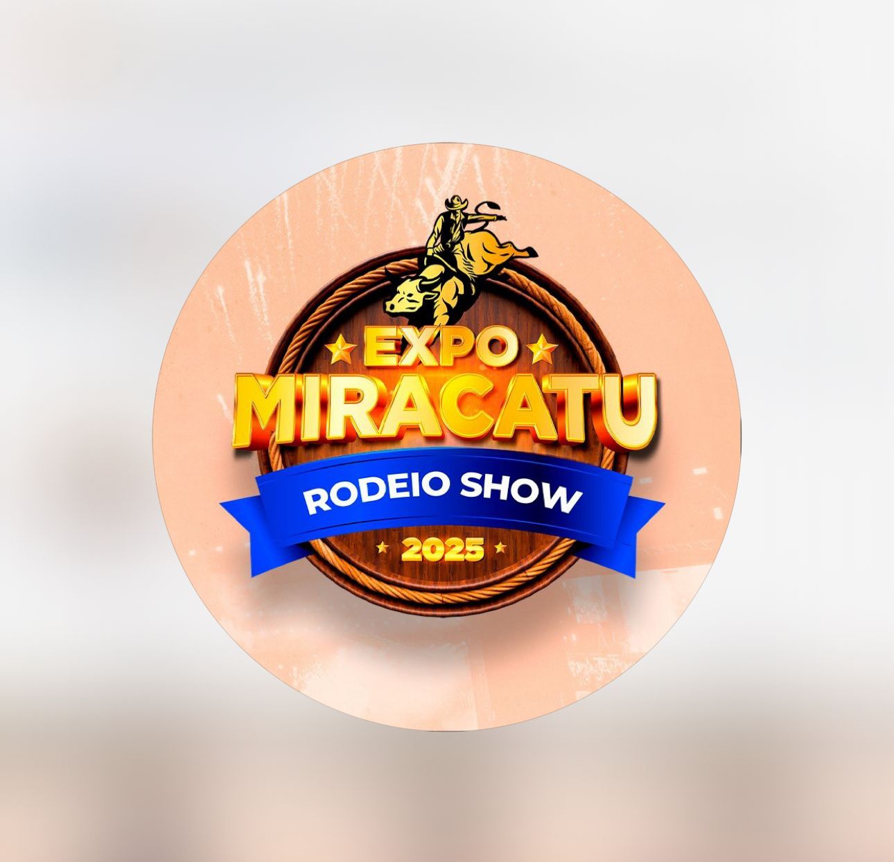 Imagem do WhatsApp de 2025-11-24 à(s) 17.18.00_ee6b6595